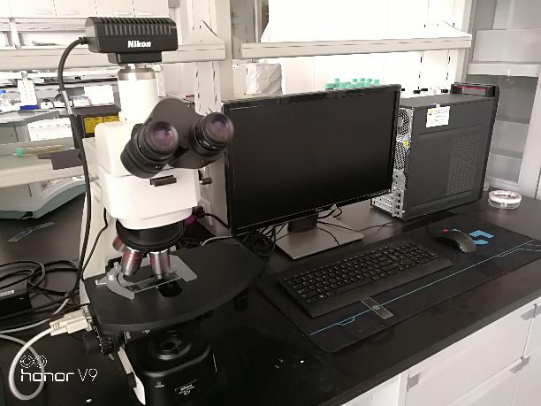 高分辨显微镜